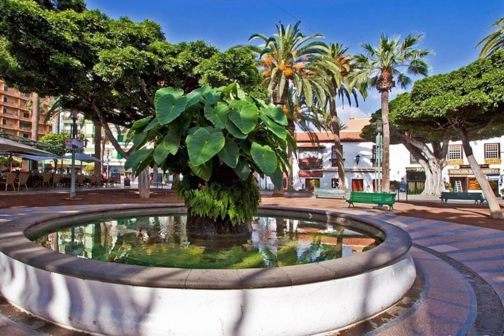Centrico, Comodo Y Bello Apto En Puerto De La Cruz Exteriör bild